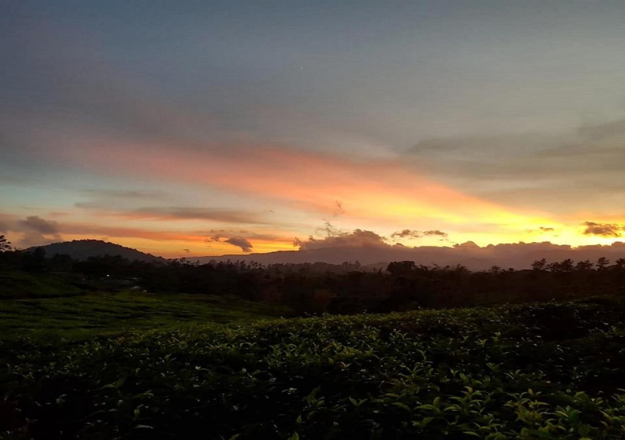 Glad Valley Wayanad By Lexstays-Tea Estate Villa Ngoại thất bức ảnh